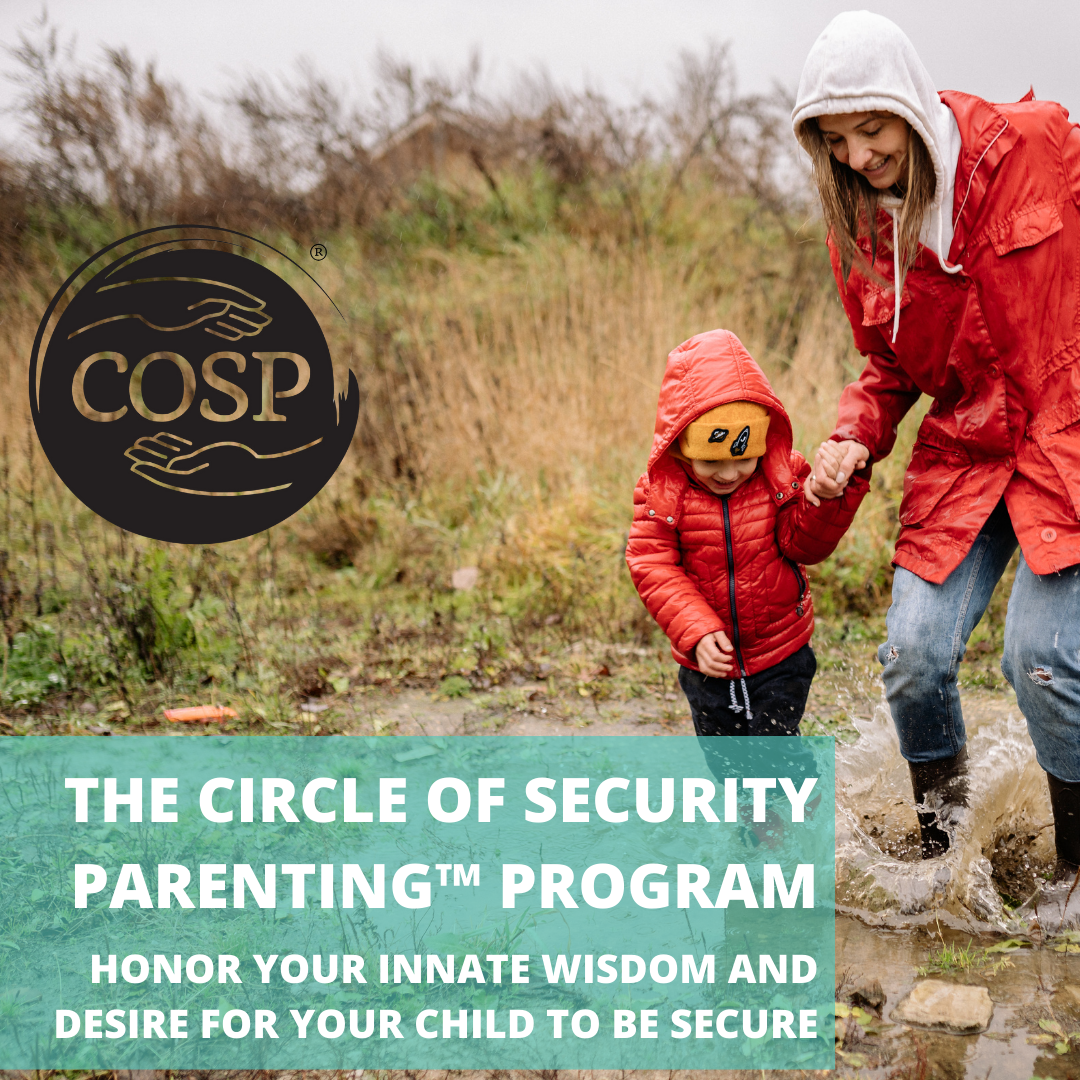 The Circle of Security Parenting™ program