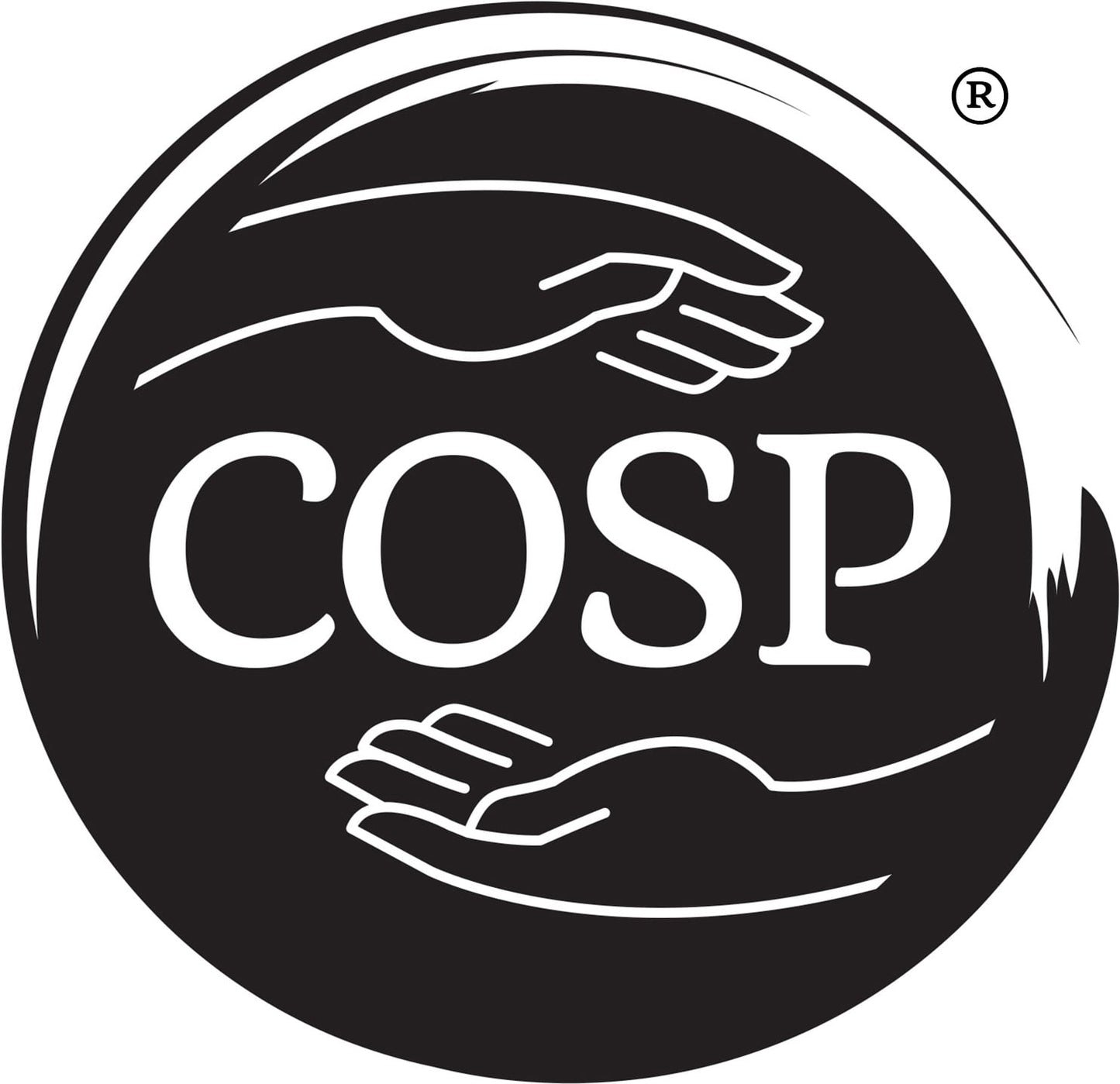 circle of security parenting program Canterbury