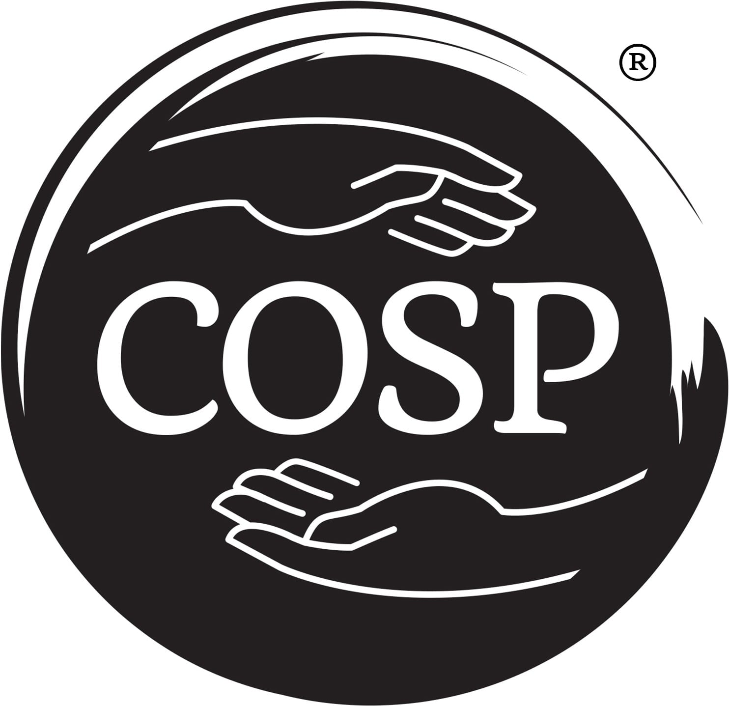 circle of security parenting program Canterbury