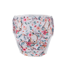 Bear & Moo Swim Nappies