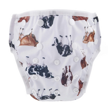 Bear & Moo Swim Nappies
