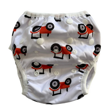 Bear & Moo Swim Nappies