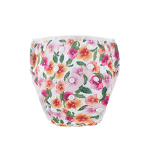 Bear & Moo Swim Nappies