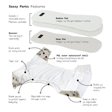 Sassy Pants Velcro Nappy