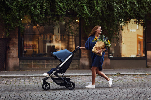 Thule Spring Stroller Ashburton