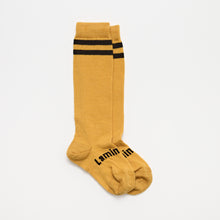 Lamington Merino Socks 1-2 Years